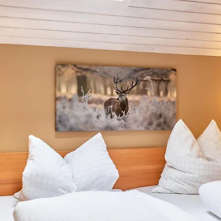 Geierstein Apartamento