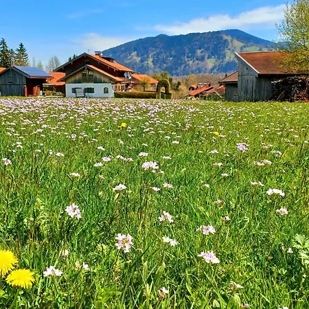 Geierstein Apartman Wackersberg