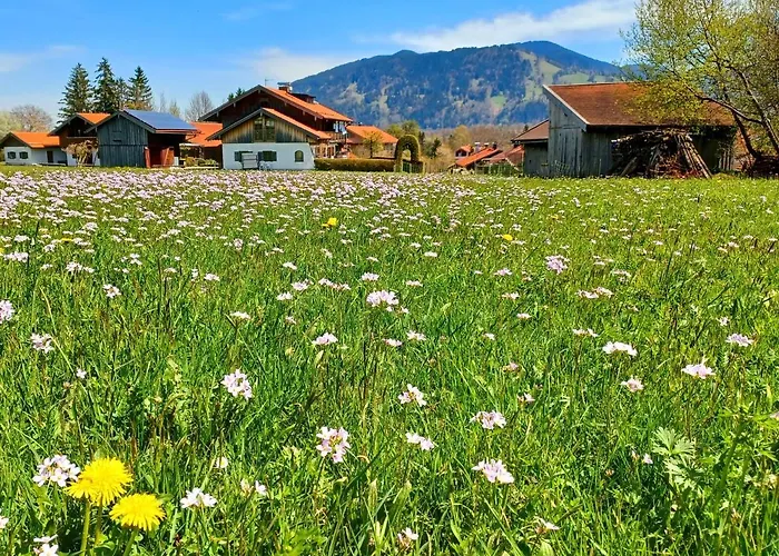 Geierstein * Wackersberg