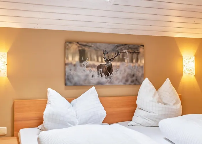 Geierstein Apartmán